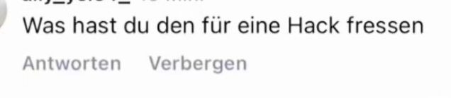 Anonymisierter Ausschnitt eines Online-Kommentars mit abwertender Sprache.
